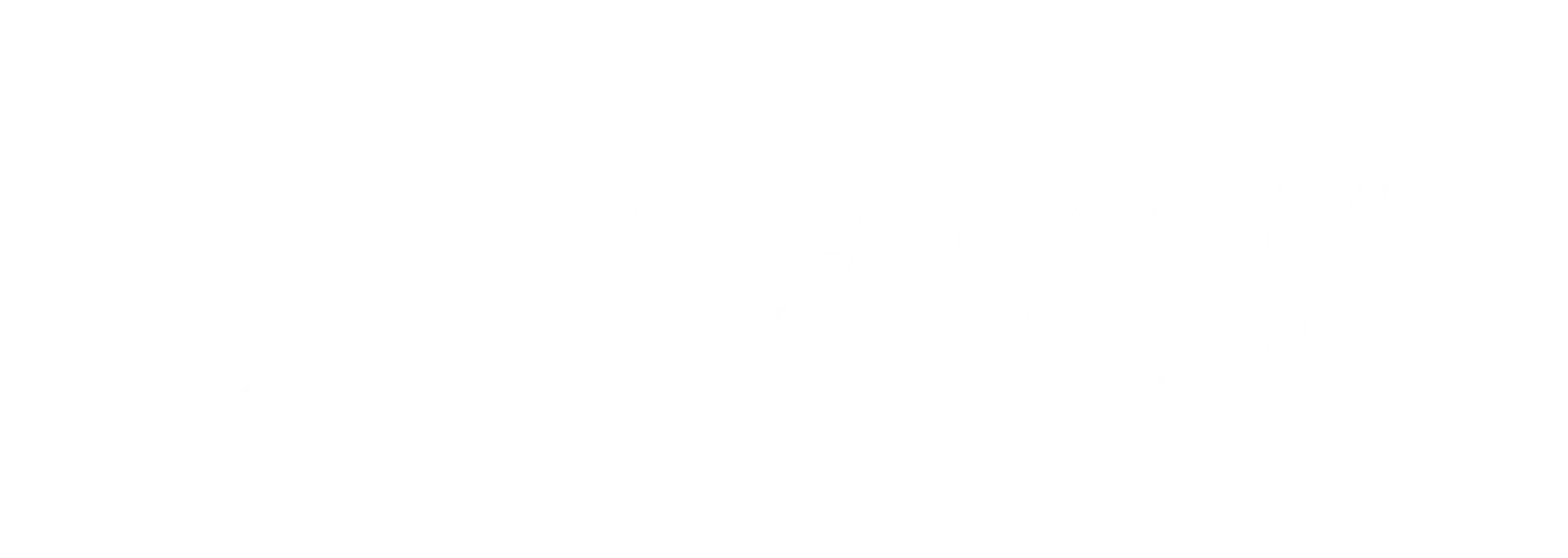 NACHBAR_logo_2024__white